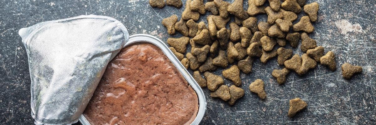 En Sevilen 5 Mama Markasını Kedilere Denettik